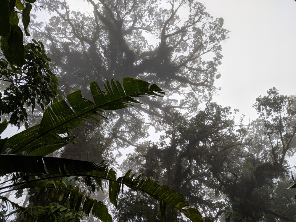 A Breakdown of Costa Rica’s Seasons (& When to Visit)