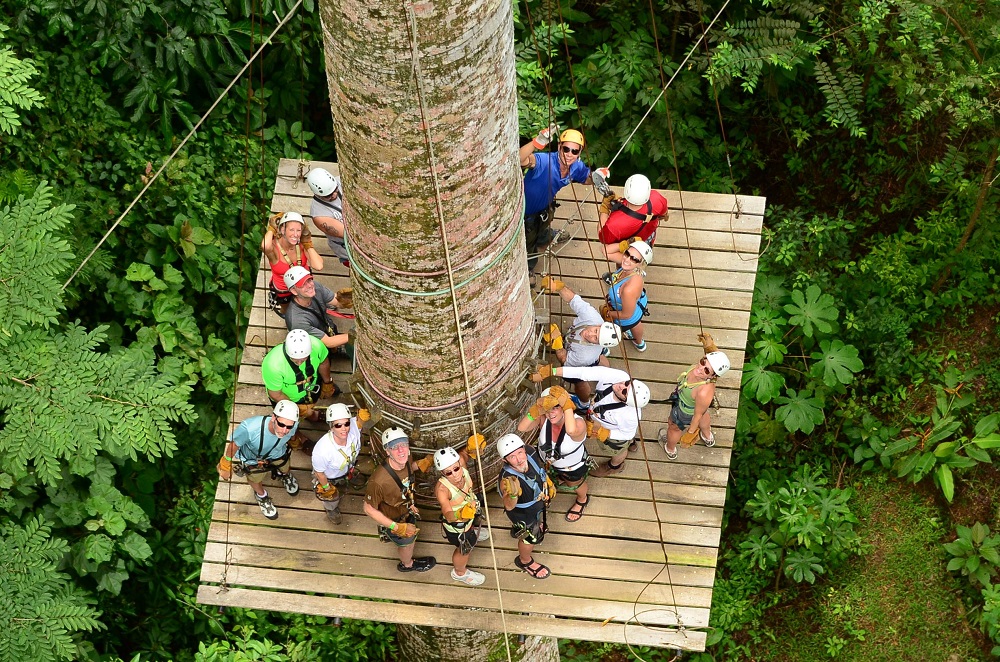 tree climbing